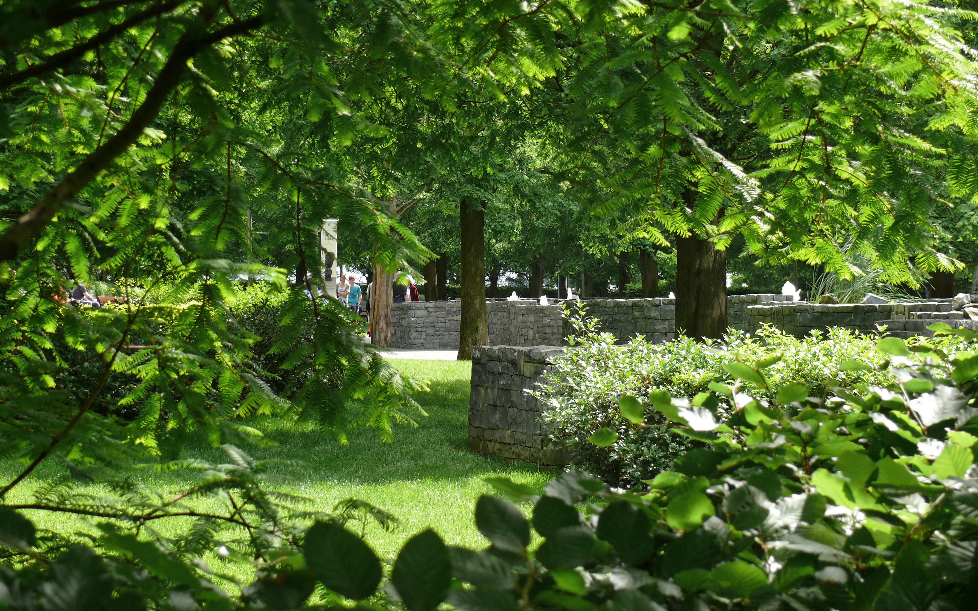 Park with lawn, bushes and tall trees